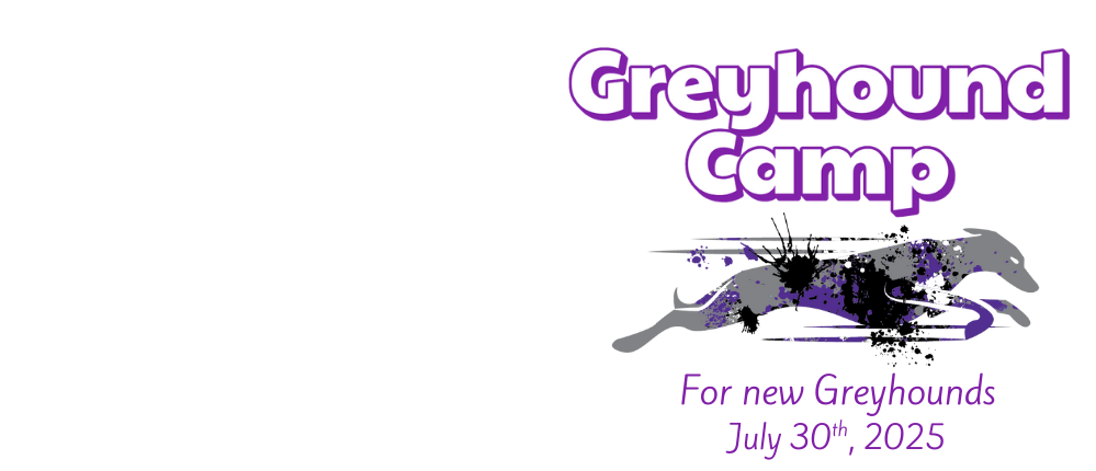  Greyhound Camp